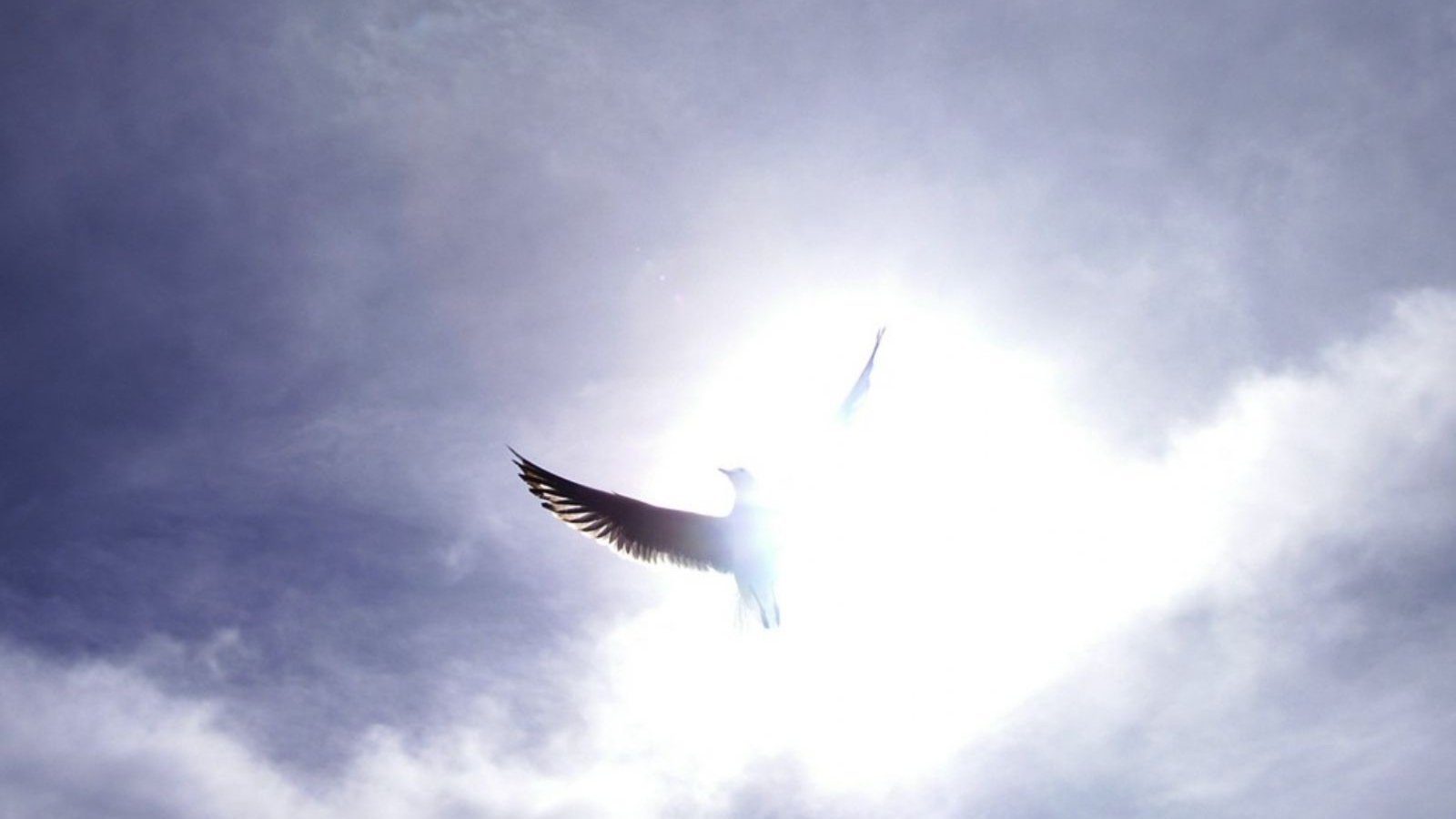 Праздничный день