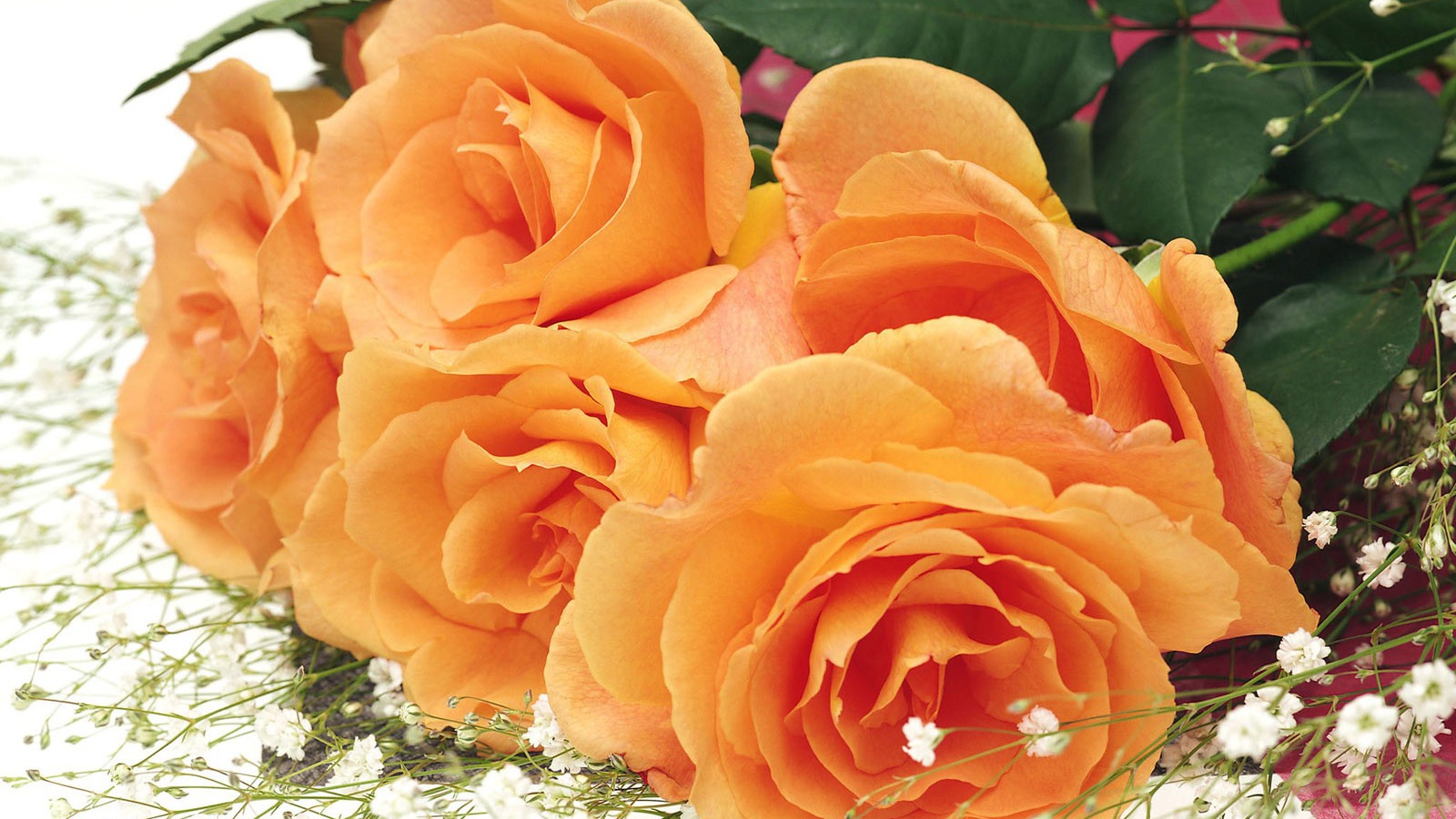 Подарок женщинам красавицам