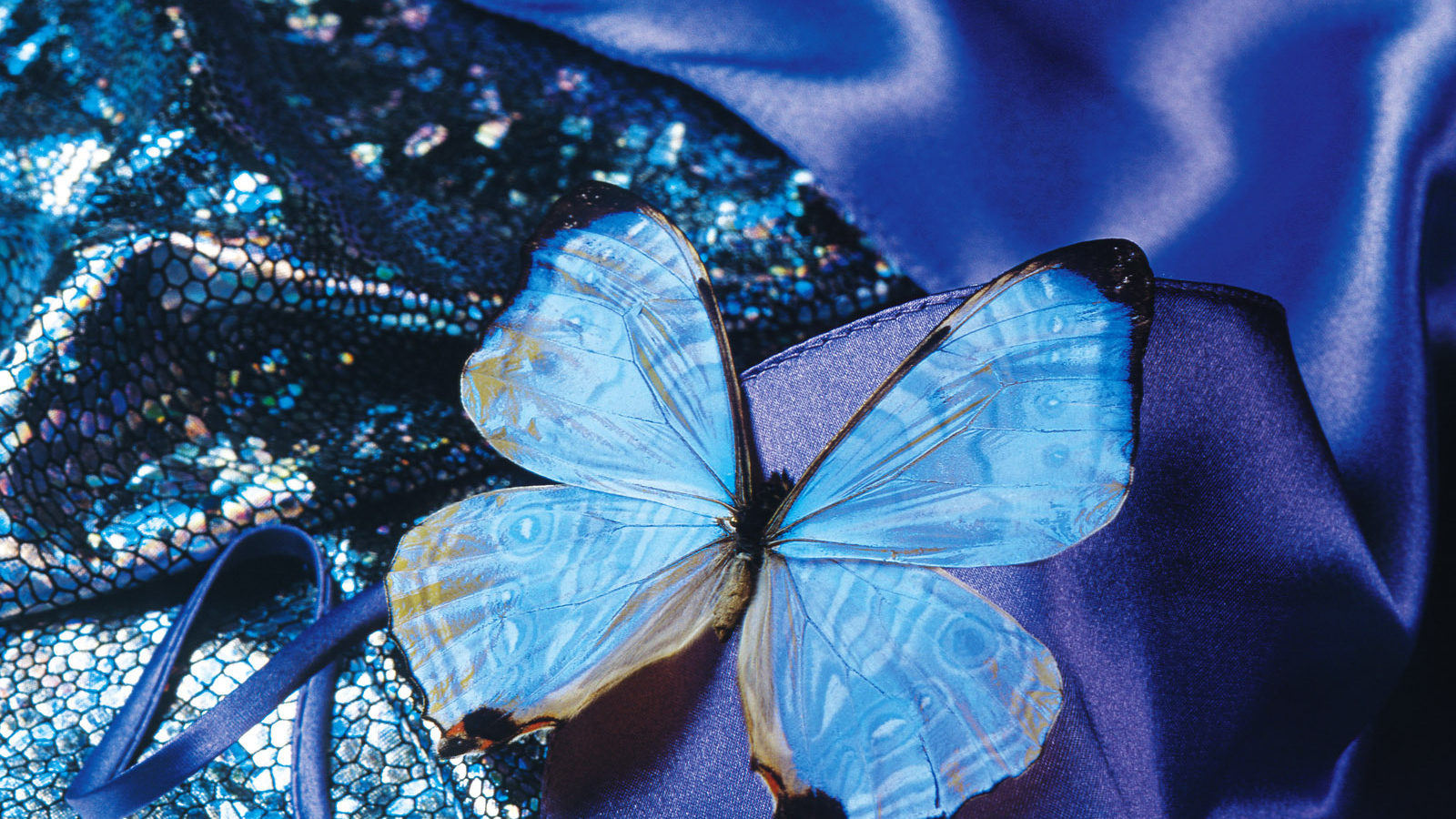 Любимый женский праздник