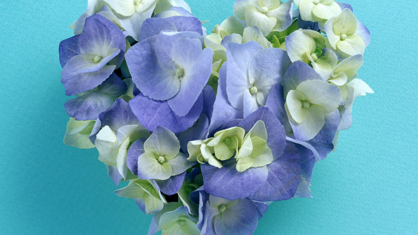 Сердечко из цветов