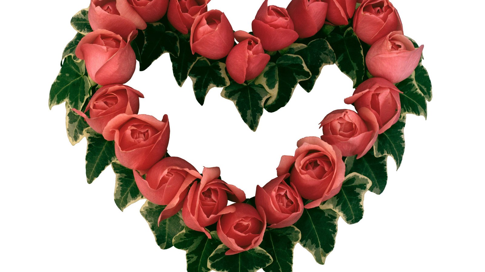 Сердце из роз