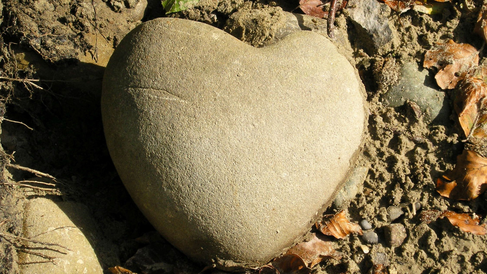 Каменное сердце