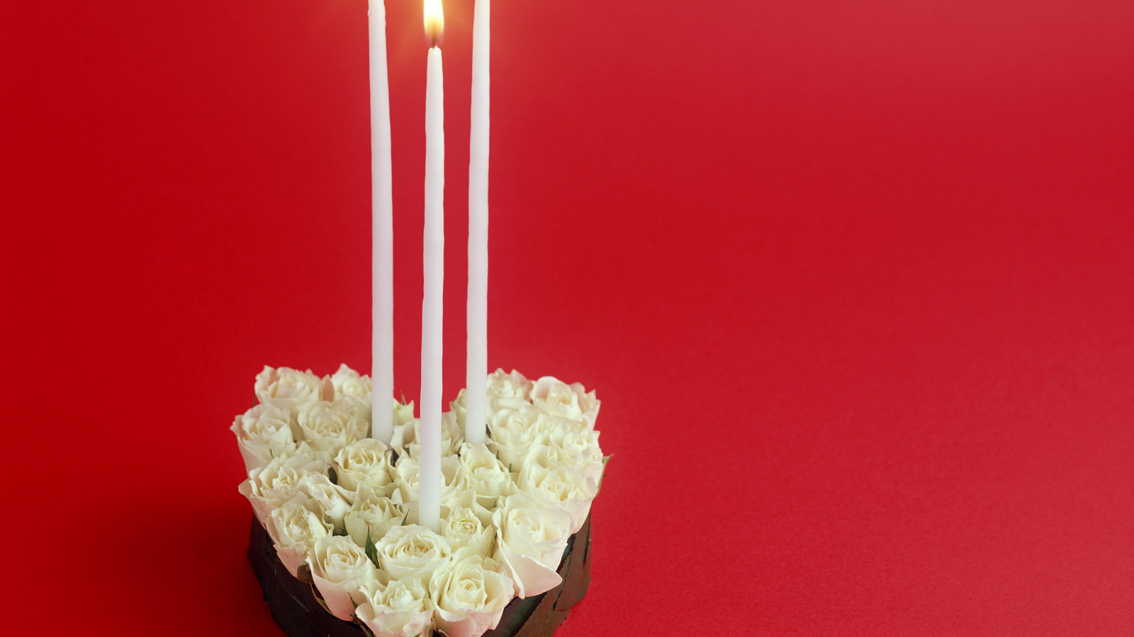 Белые розы в День Святого Валентина