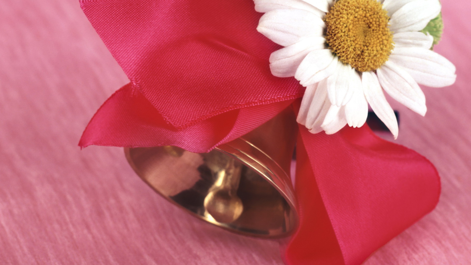 Начало учебы