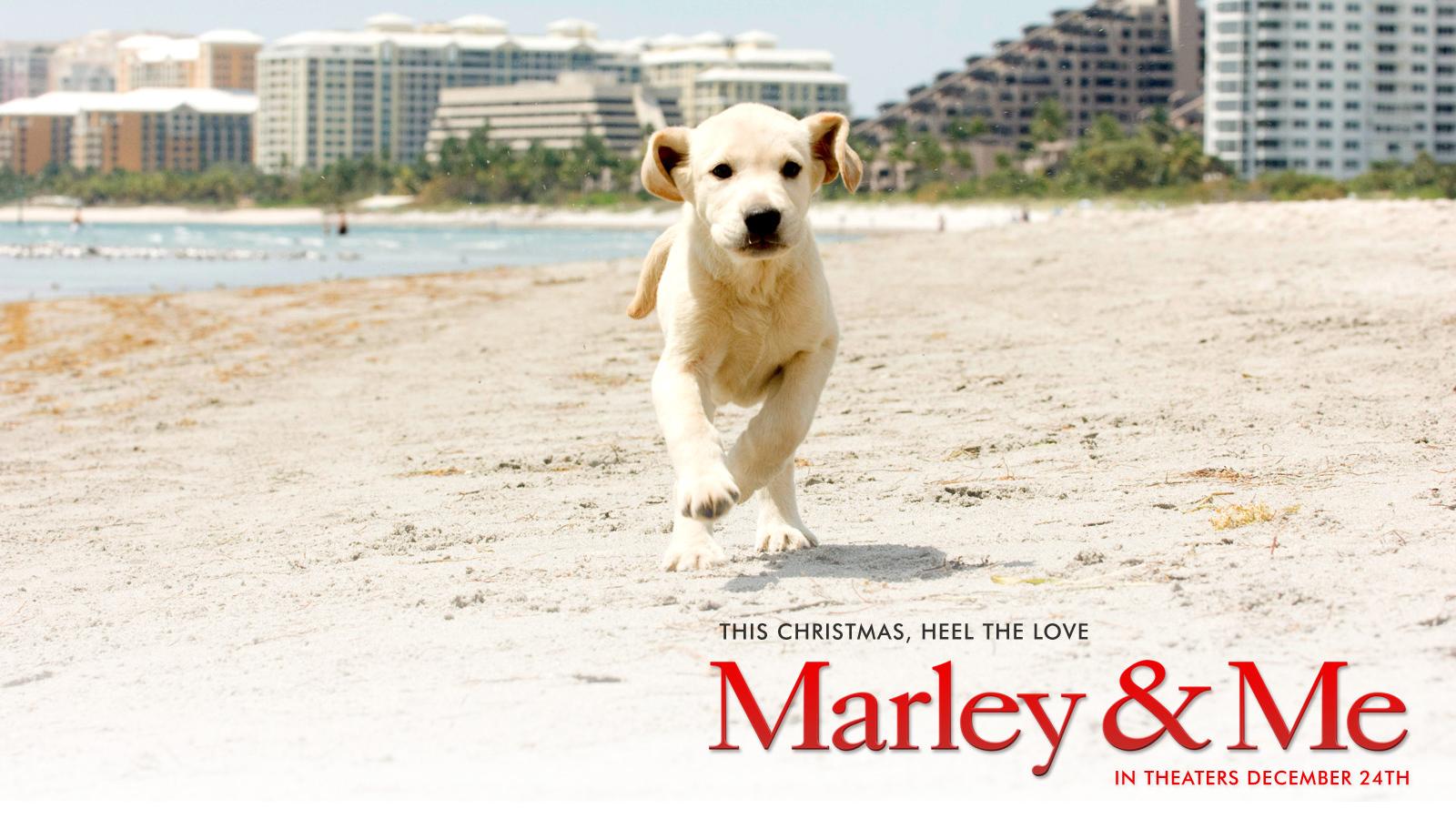Марли и я / Marley & Me рождественская комедия