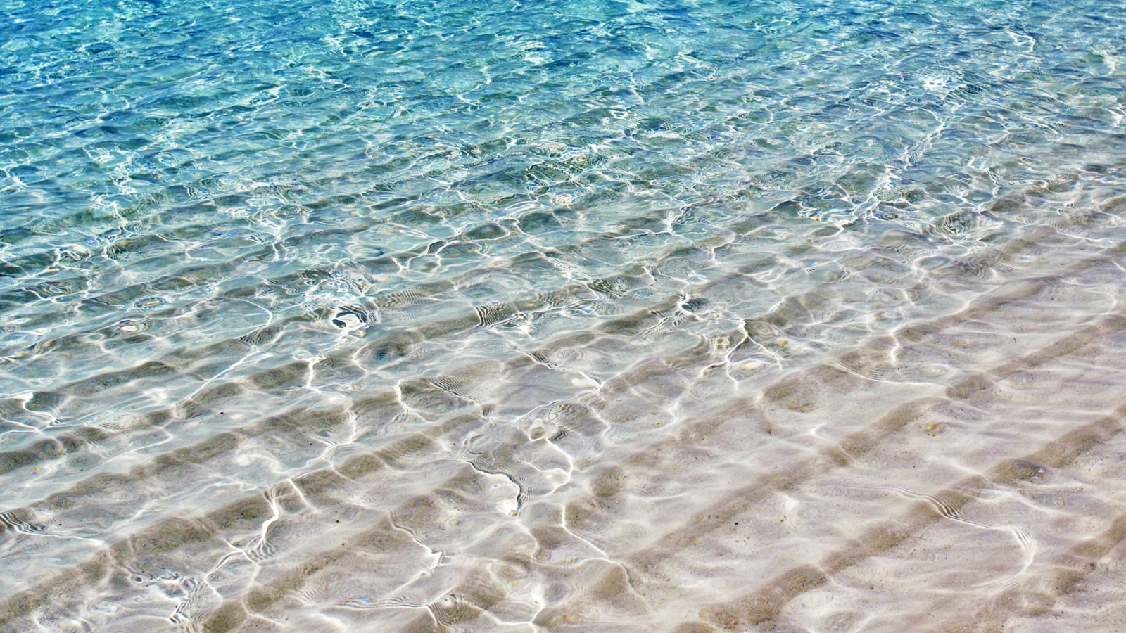 На берегу моря