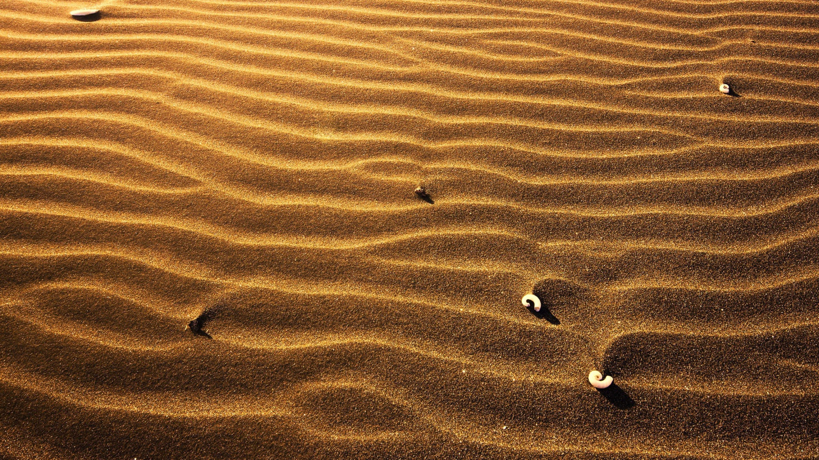 Пляжный песок