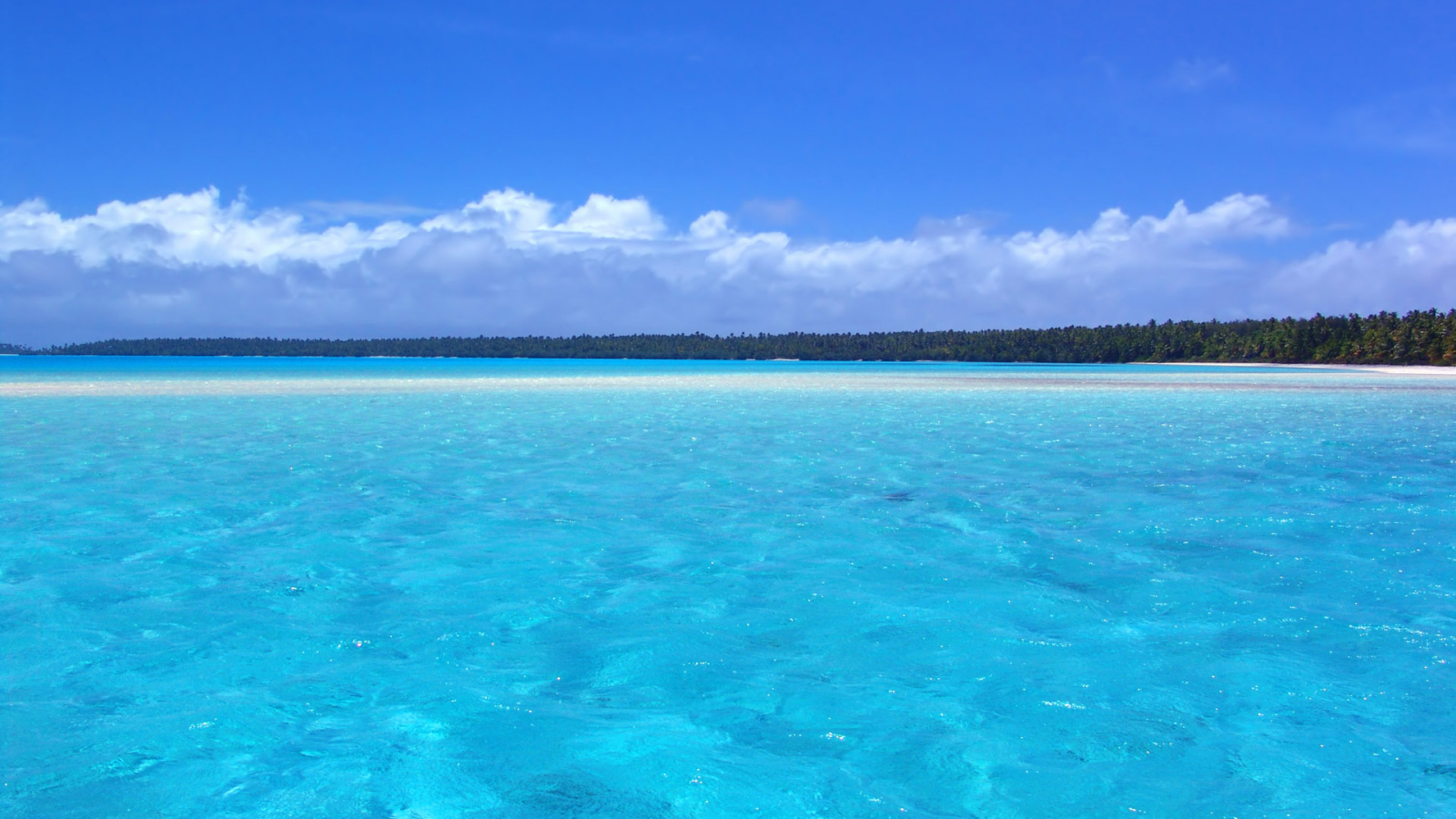 Отдых на берегу моря