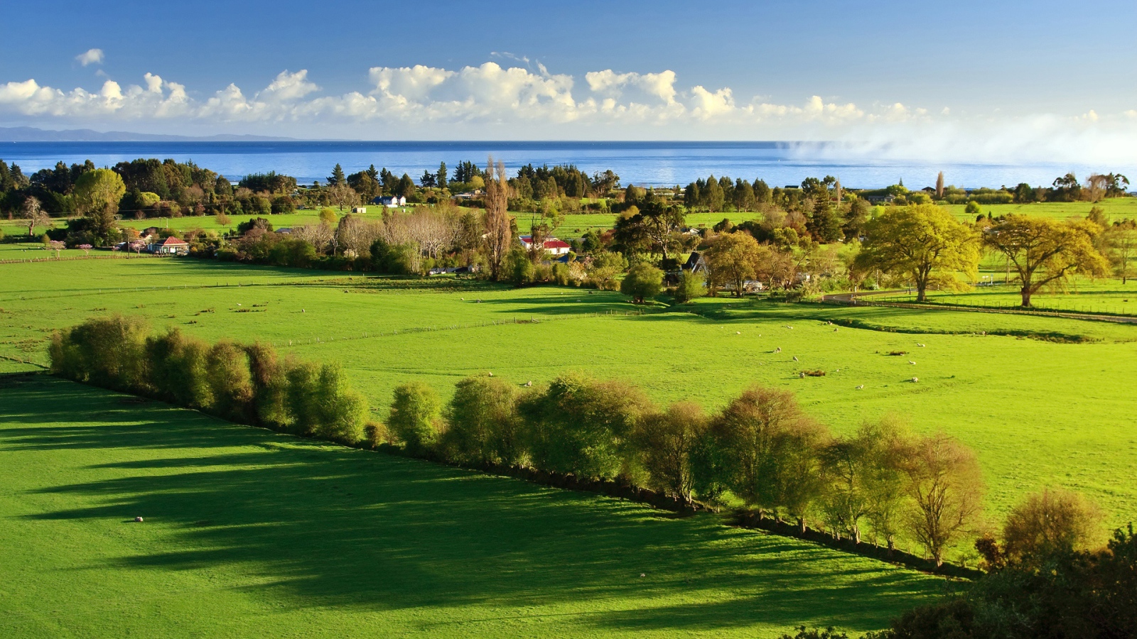 Утро в деревне