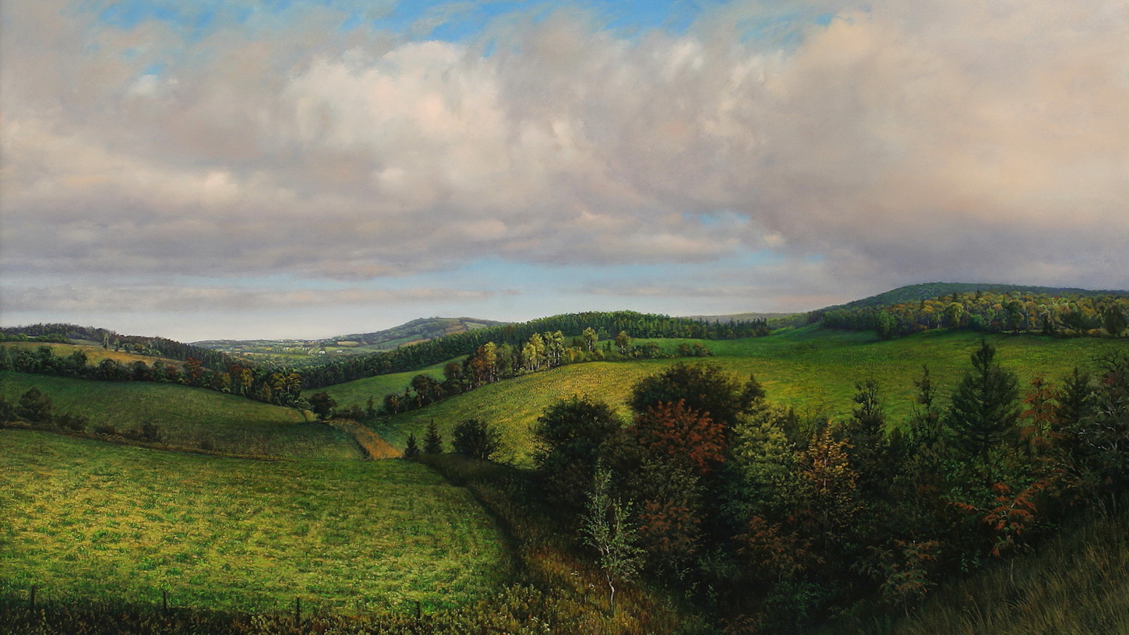 Летнее утро