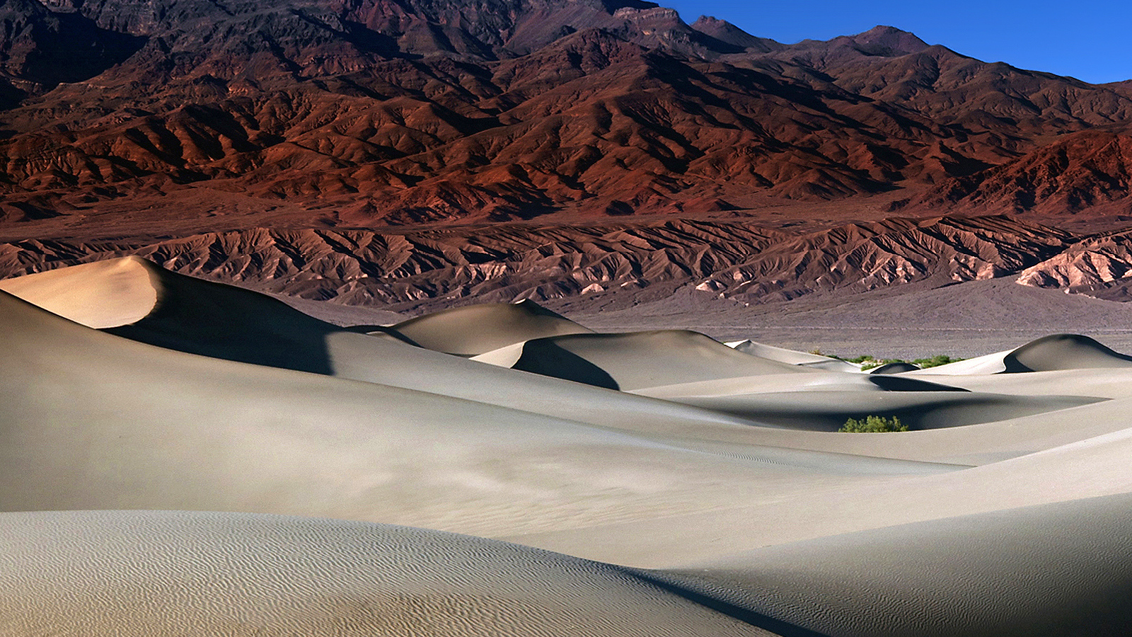 Пески пустыни