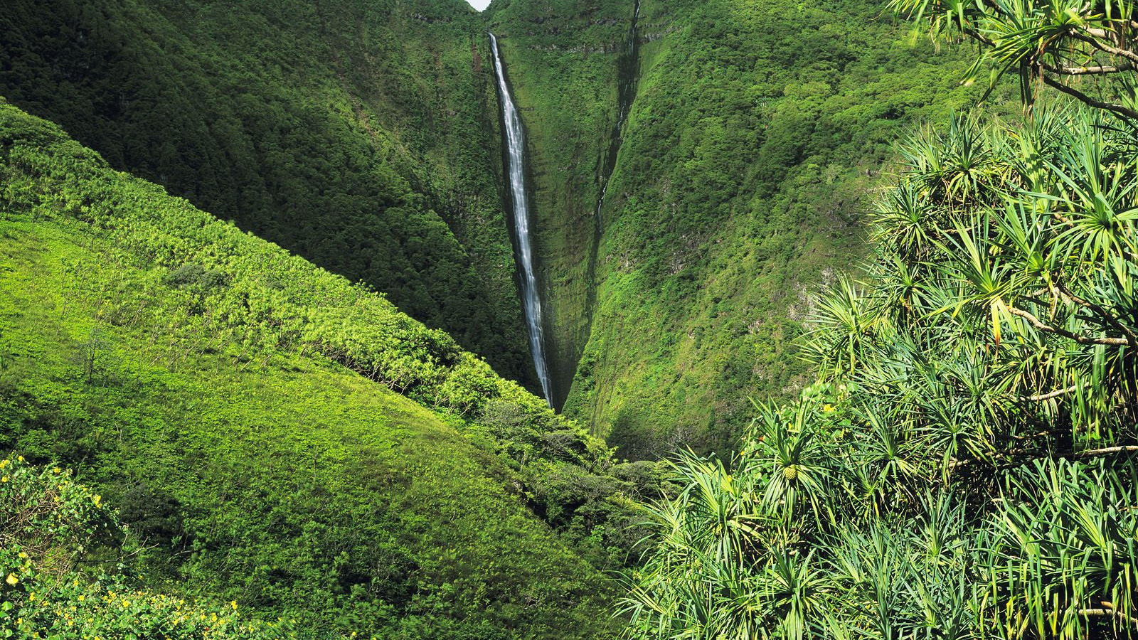 Рай на Земле