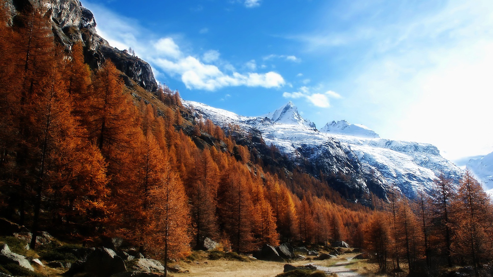 Рыжий лес в горах