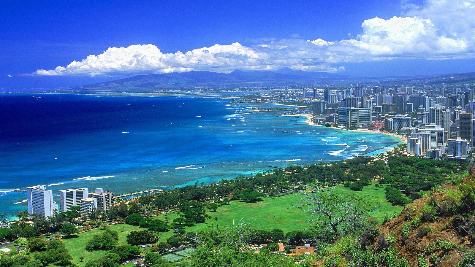 Превосходный вид