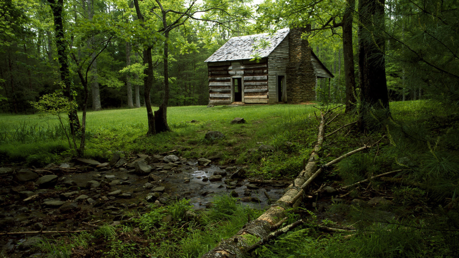 Дом на лесной поляне
