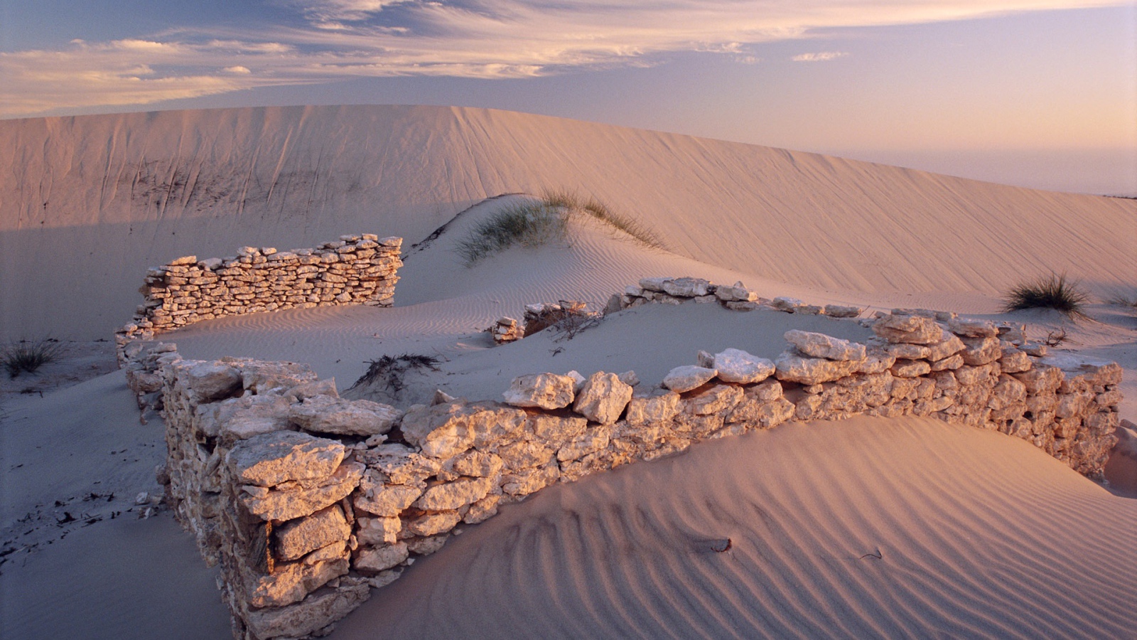 Белые пески пустыни