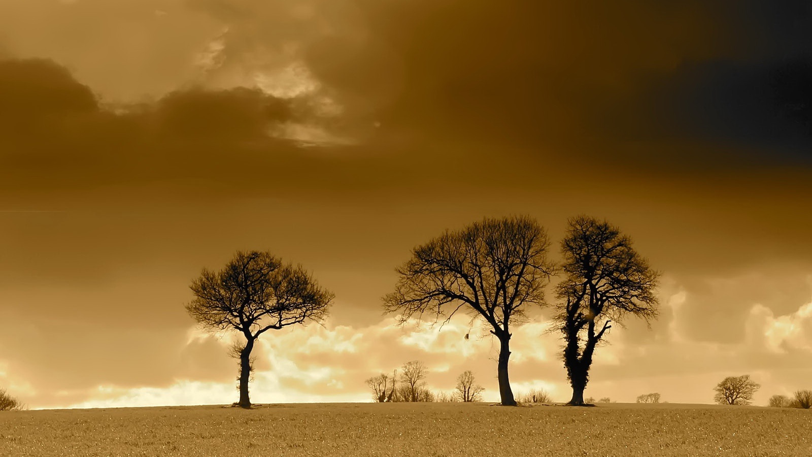 Вечерние облака