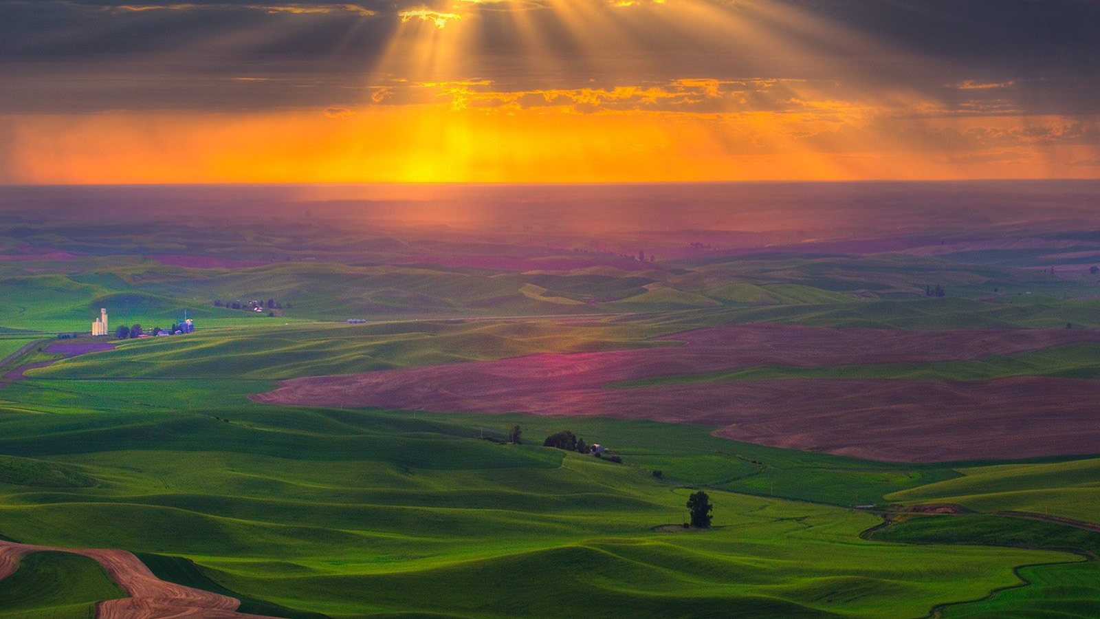 Поля на закате