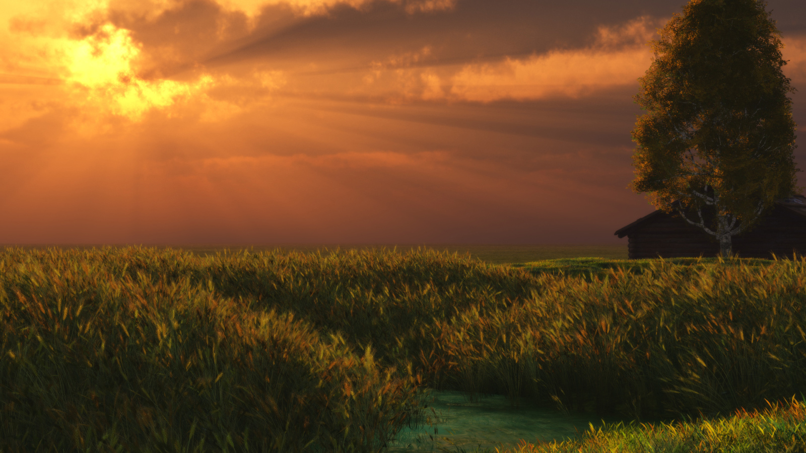 Летний вечер