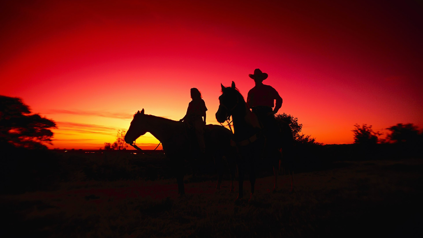 Вечерний Техас