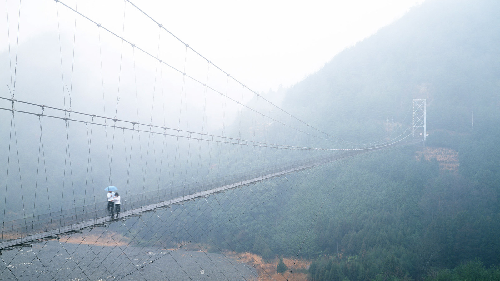 Прогулка по подвесному мосту