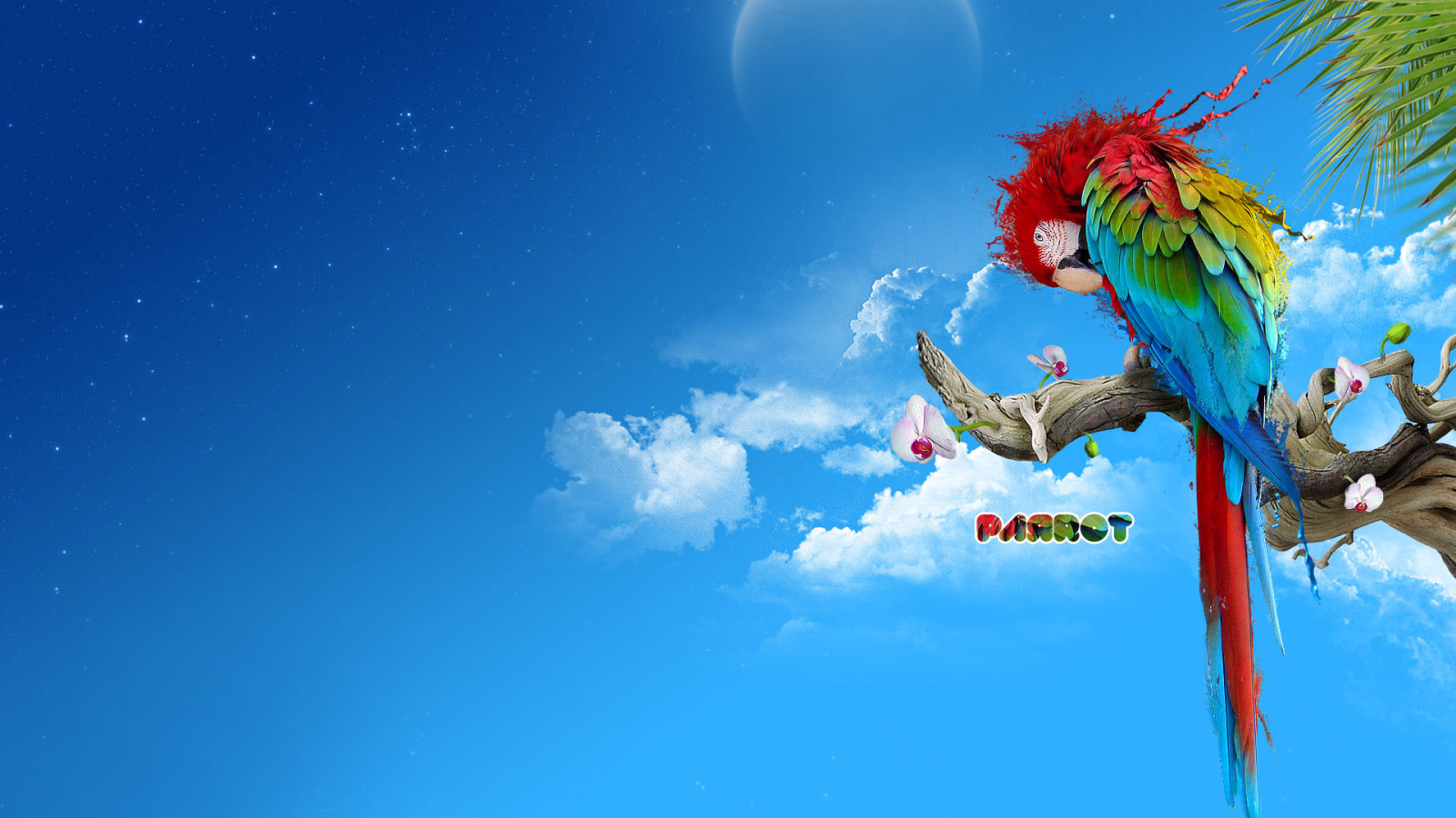 Яркий попугай