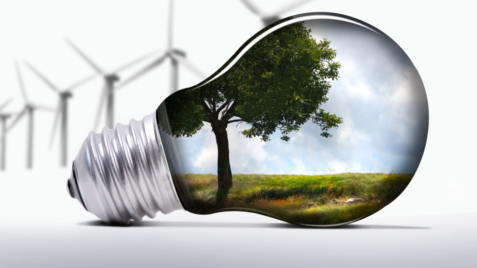 Лампочка природа и ветряки