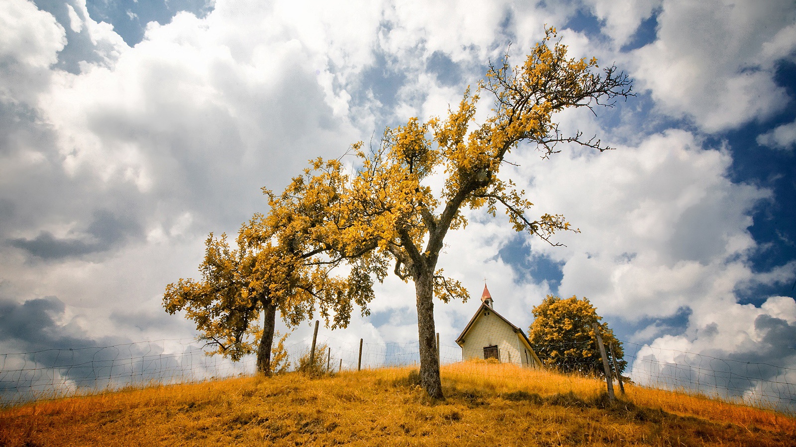 В желтом фокусе