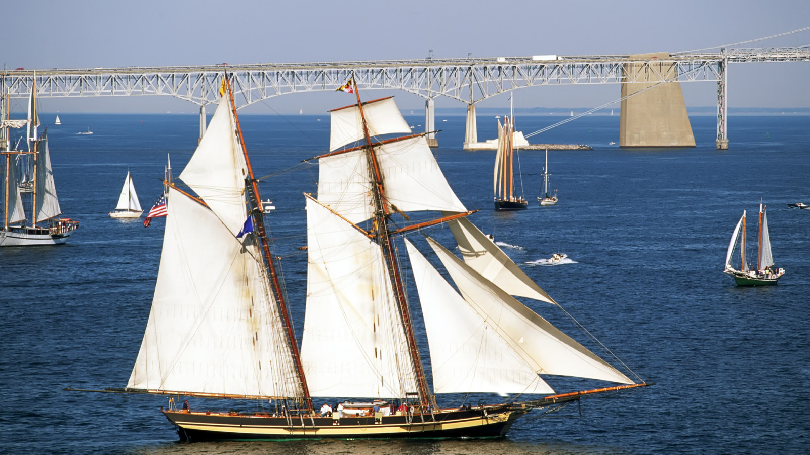 Белые паруса