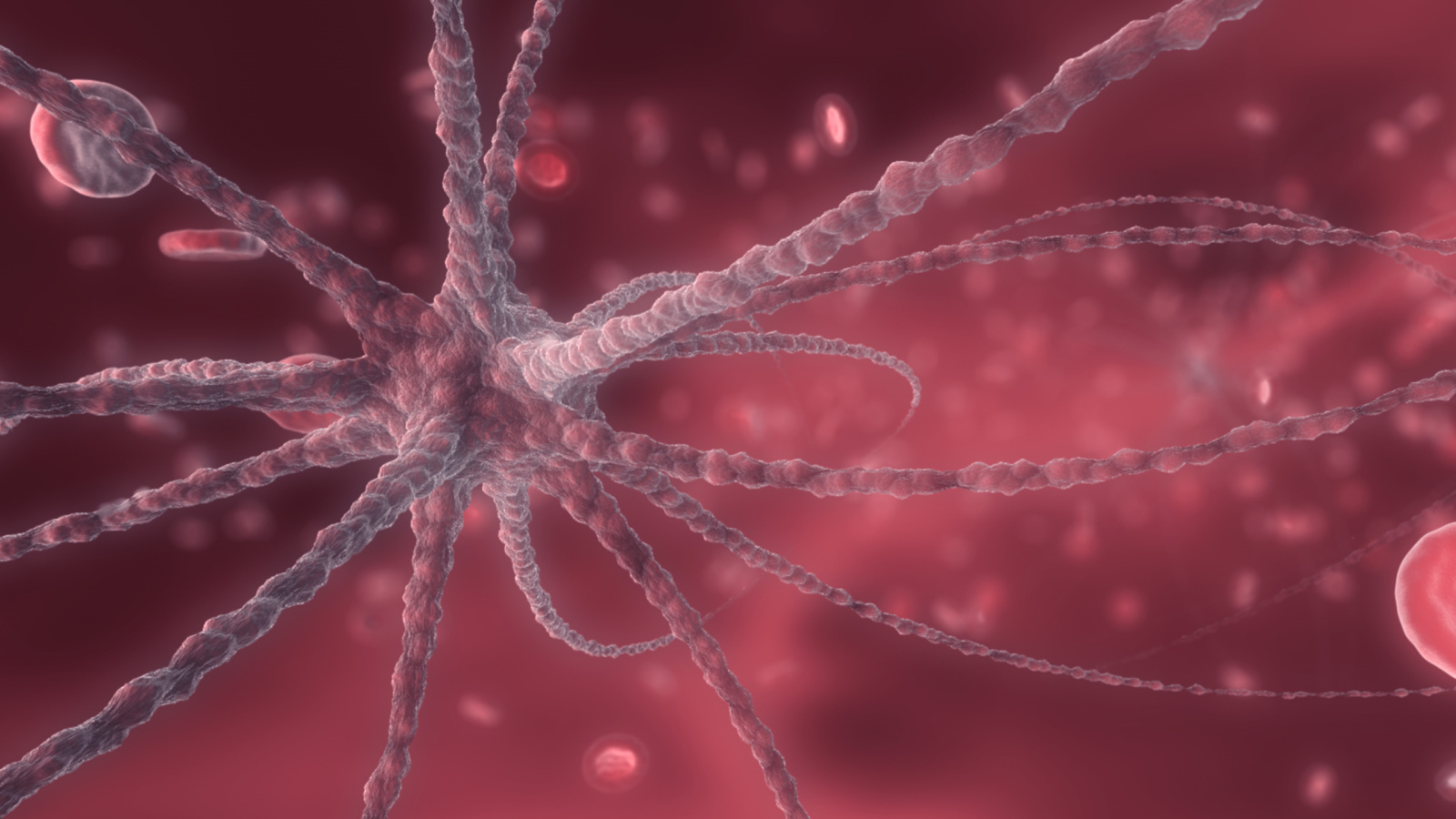 Кровяные тельца