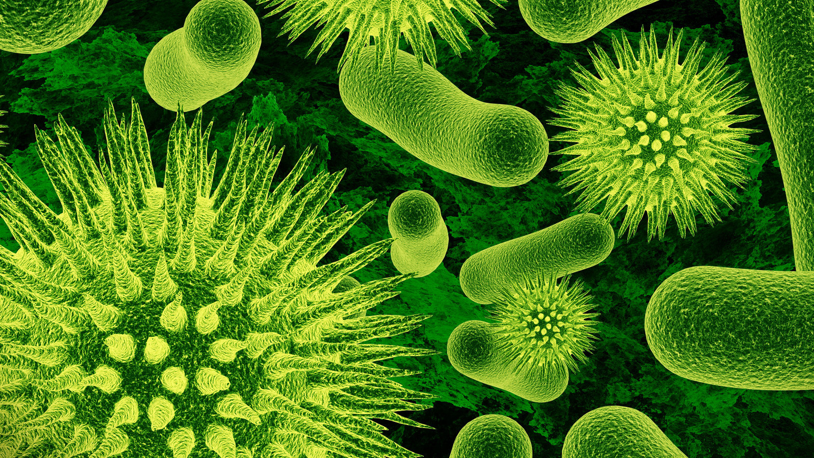 Одноклеточные