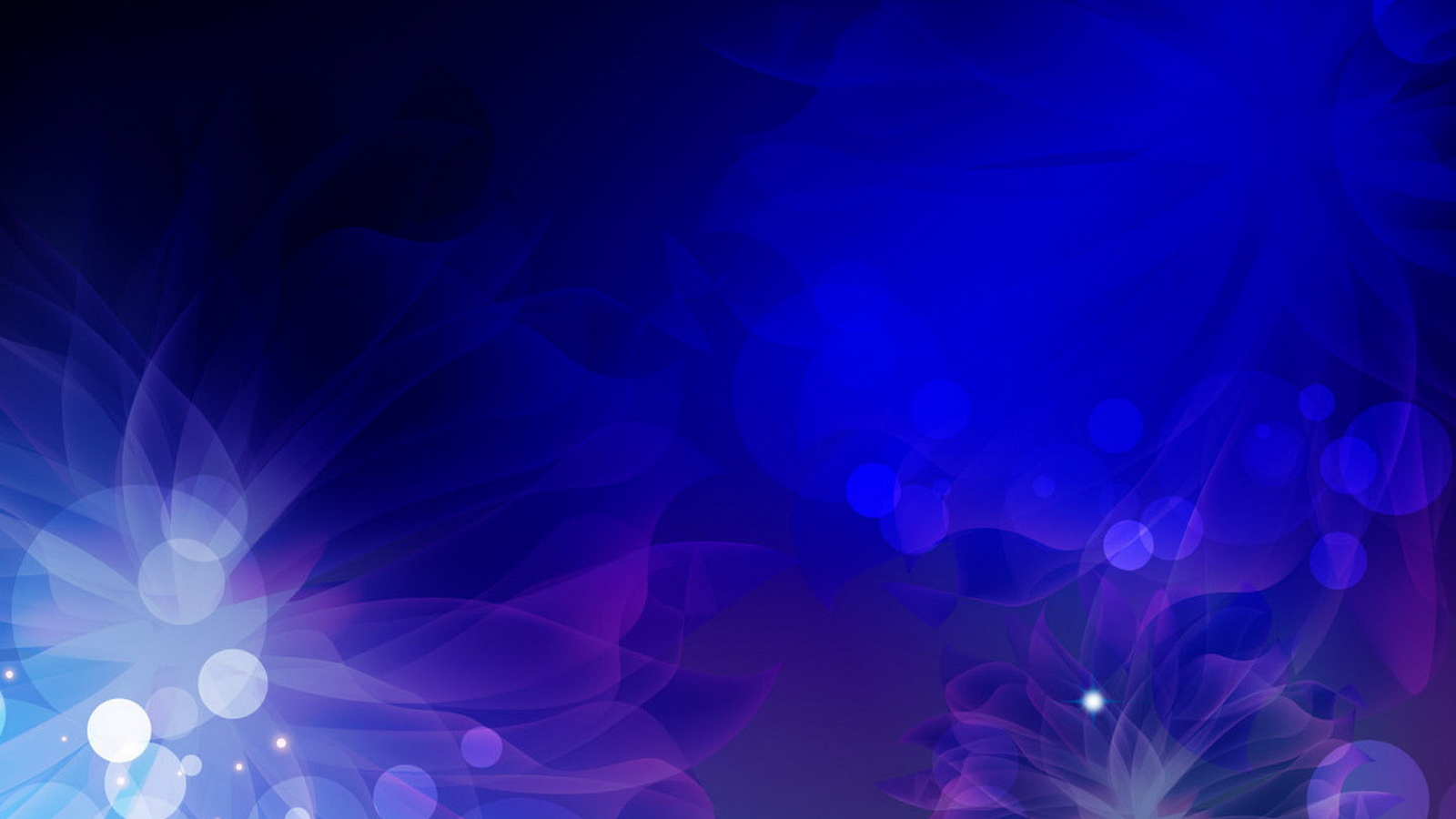 Разнообразные цветы