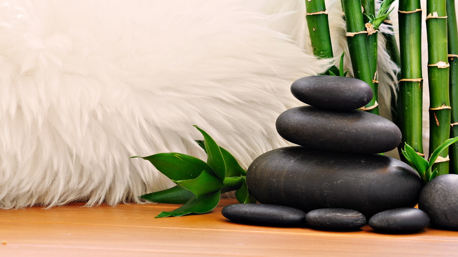 Мех, камни, тростник