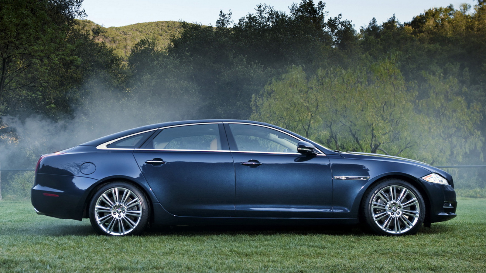 Ягуар XJ в лесу