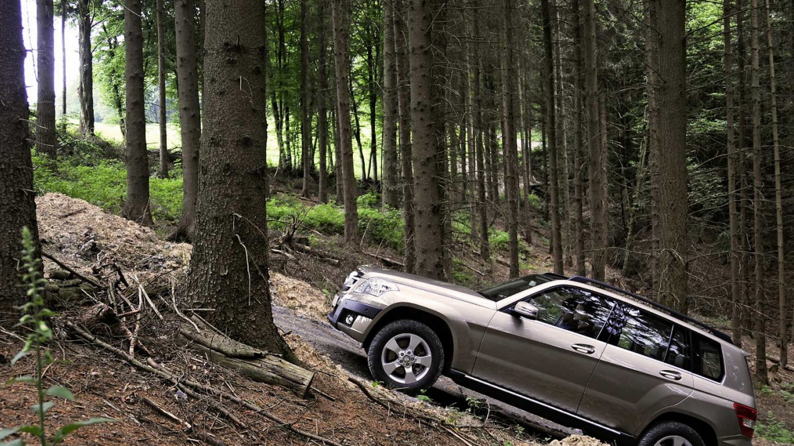 Mercedes Benz GLK прогулка по лесу