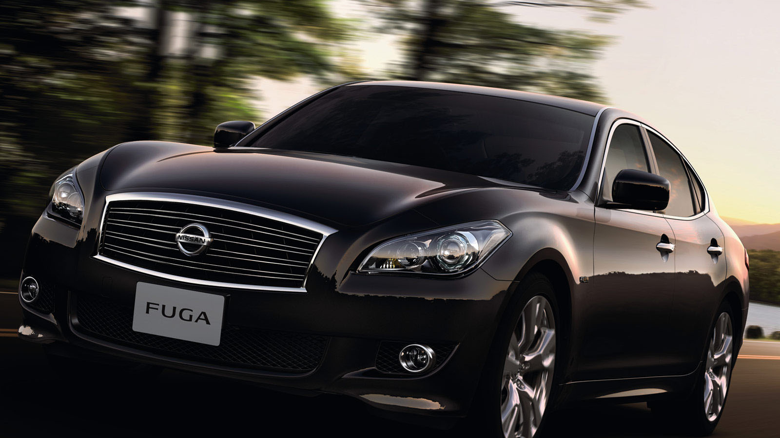 Nissan Fuga на прогулке