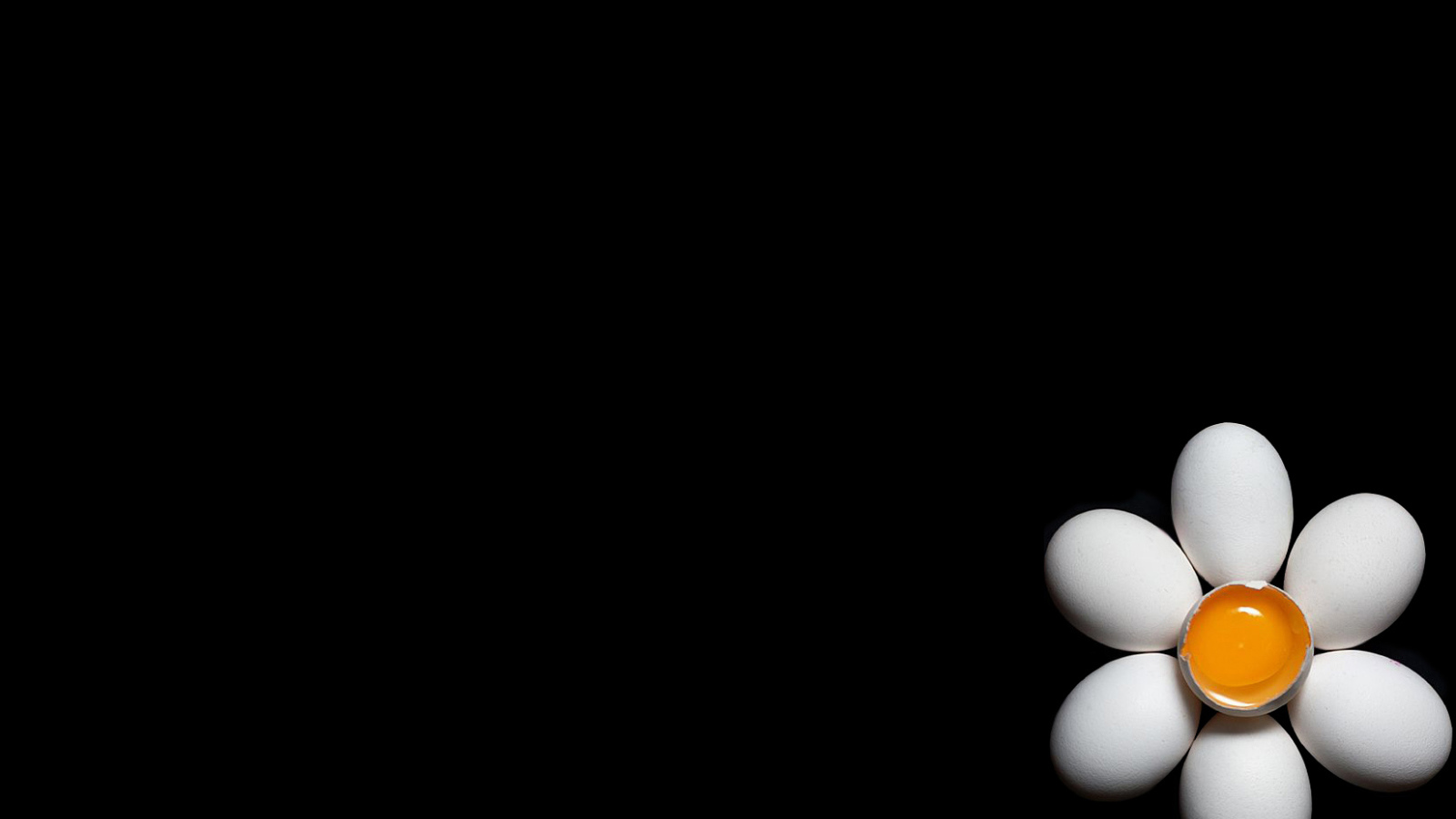 Ромашка из куриных яиц