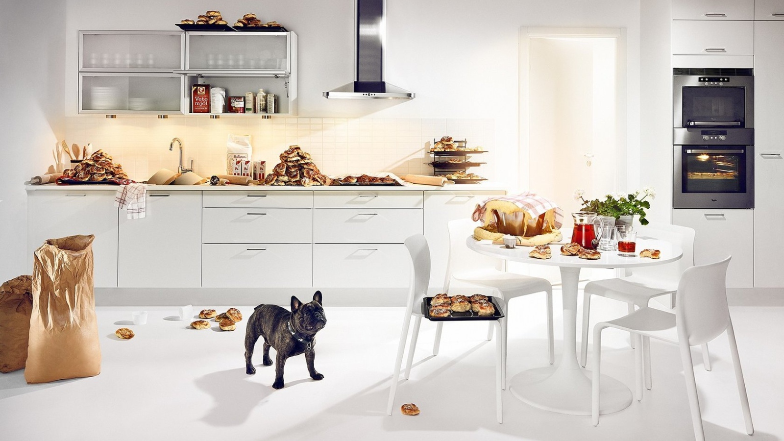 Собачье счастье