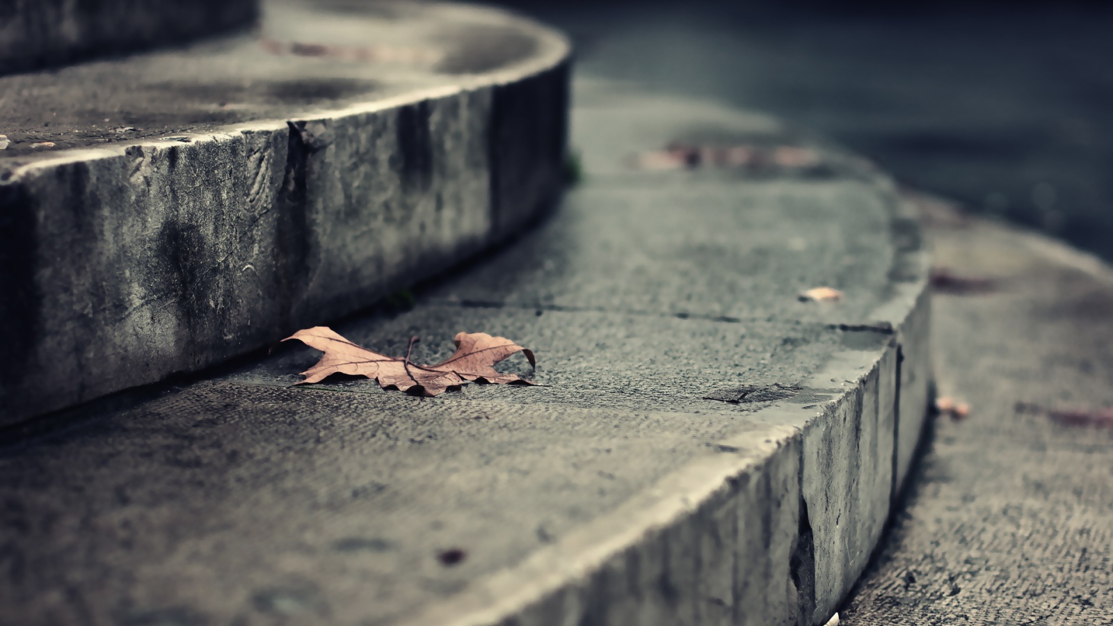 Листья на ступеньках