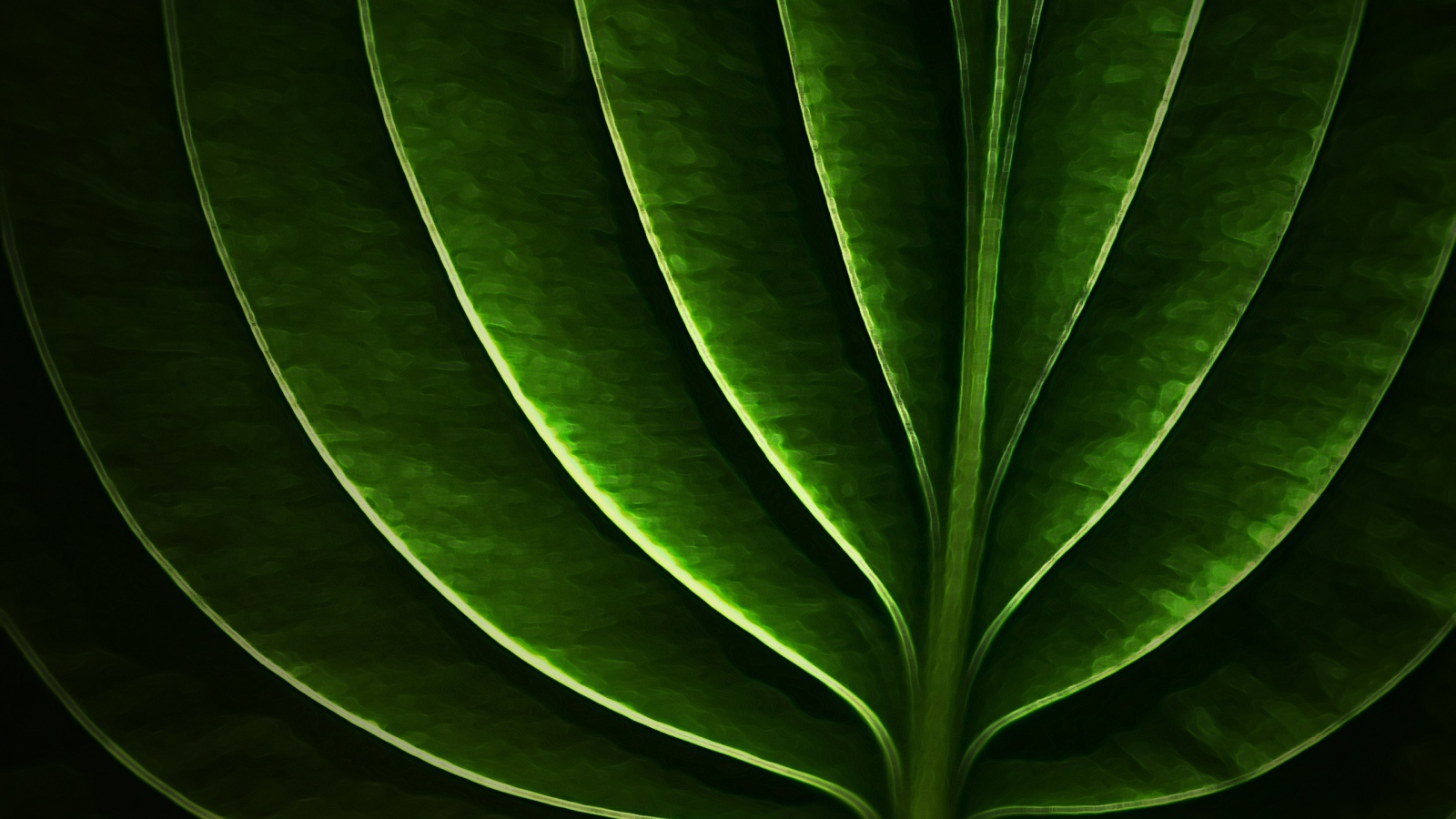 Неоновый листик