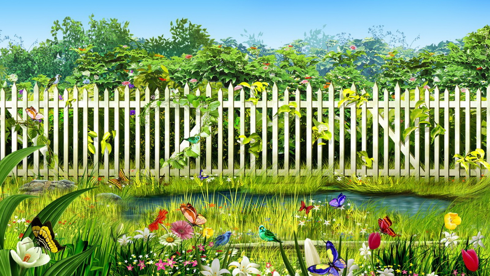 Дачный участок