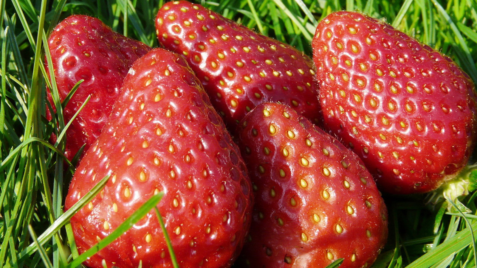 Спелая клубника