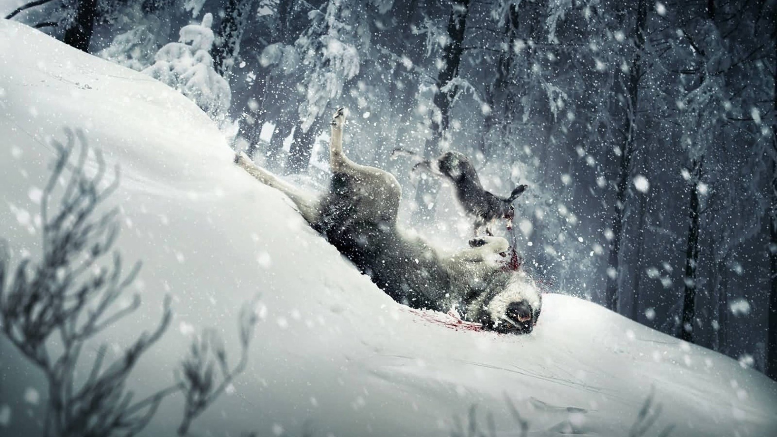 Взбесившийся кролик