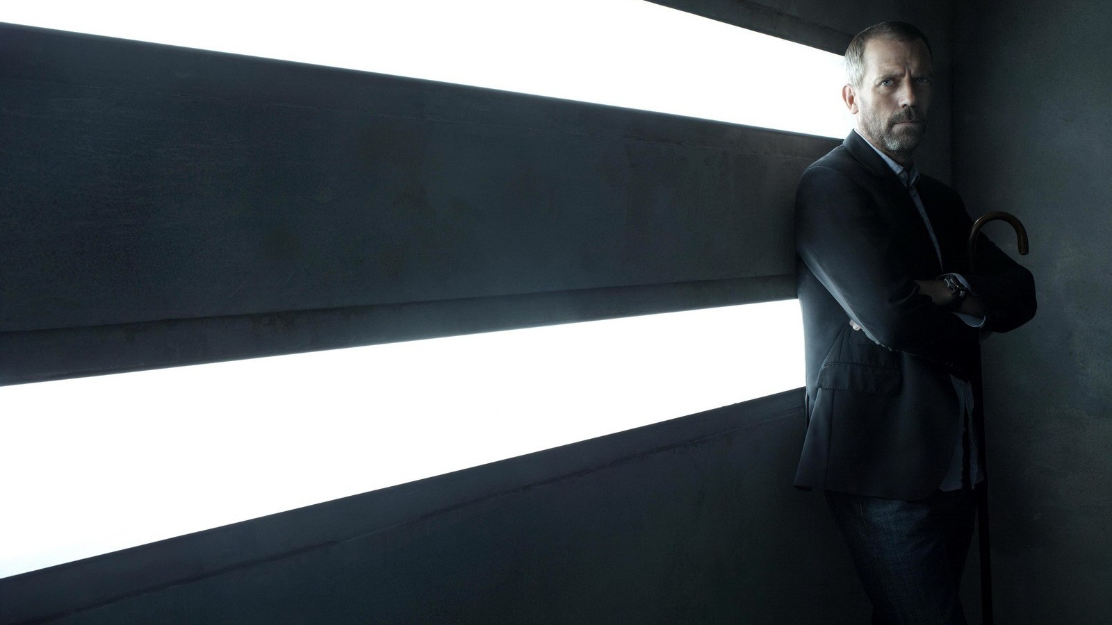 House MD Хью Лори