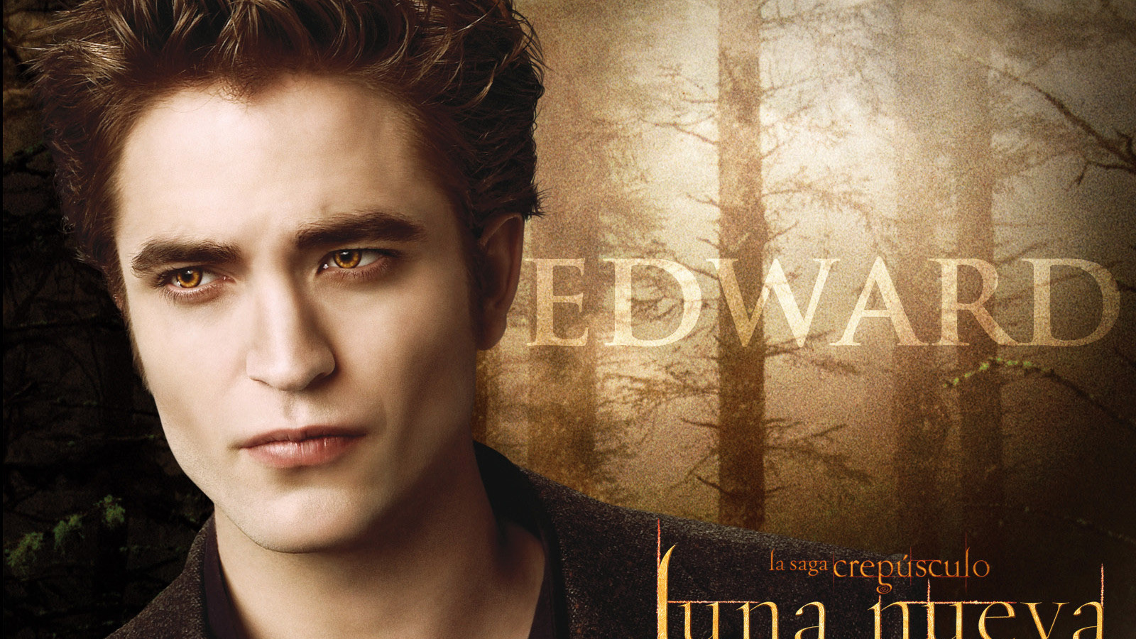 Сумерки. Сага. Новолуние