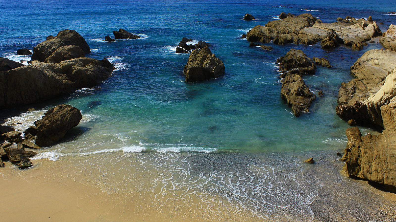 На берегу моря