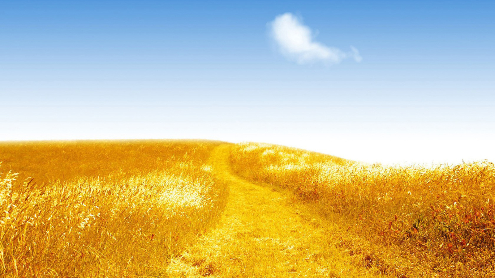 Золотистое поле