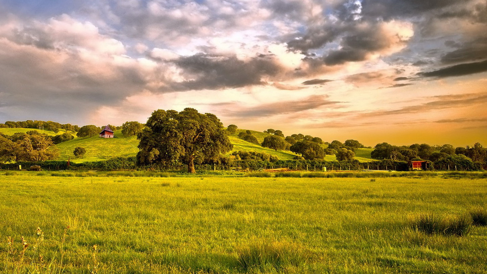 Зеленые просторы