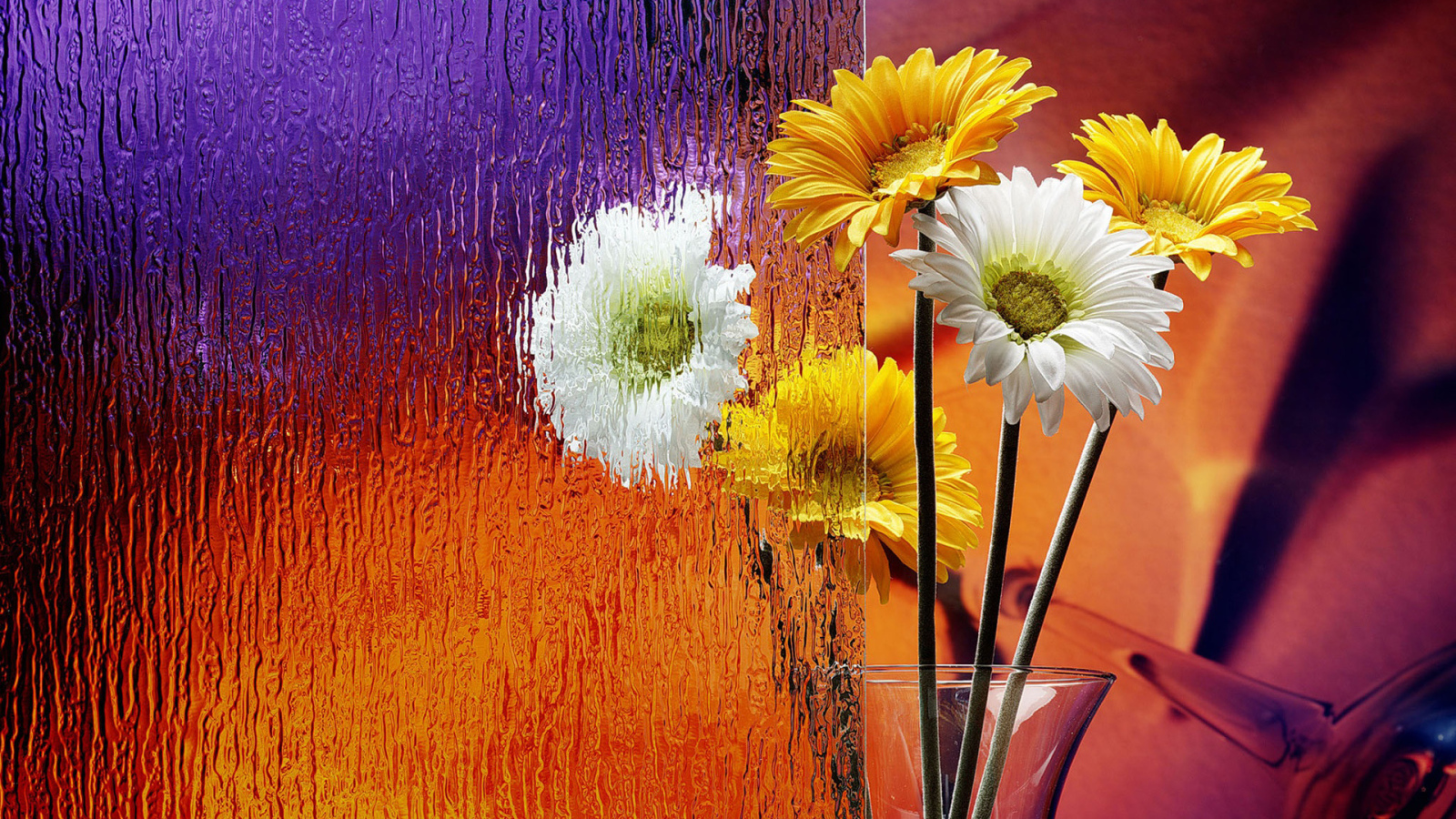 Герберы в вазе