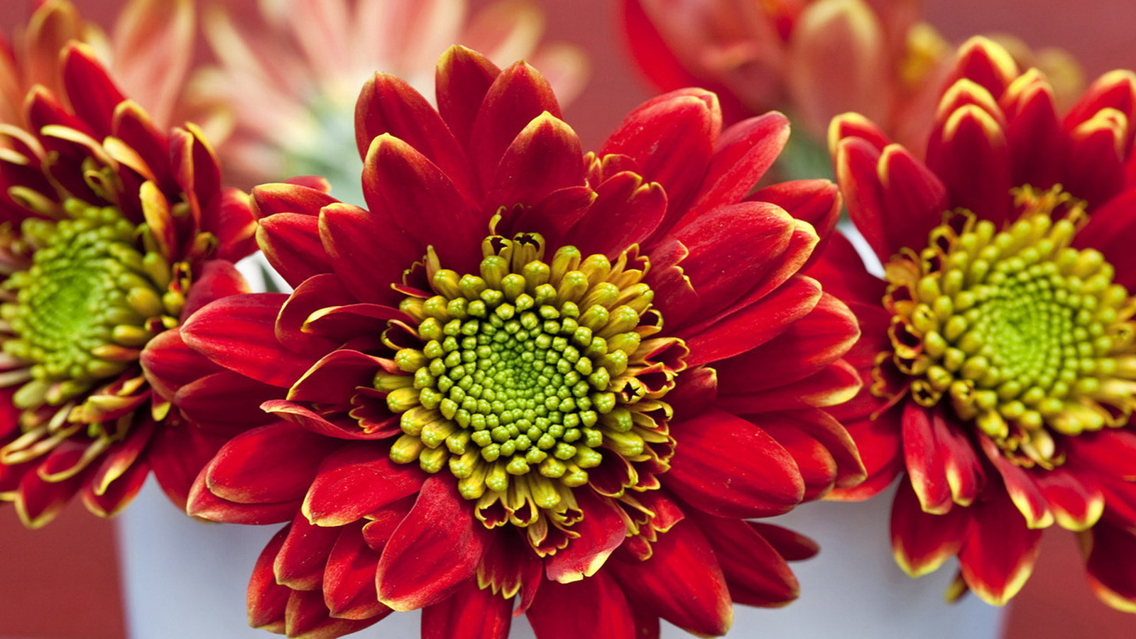 Летний букетик